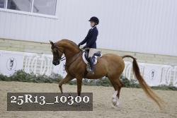 25R13_10300 thumbnail