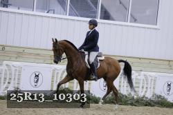 25R13_10303 thumbnail