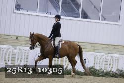 25R13_10305 thumbnail