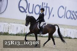 25R13_10308 thumbnail