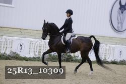 25R13_10309 thumbnail
