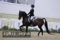 25R13_10310 thumbnail