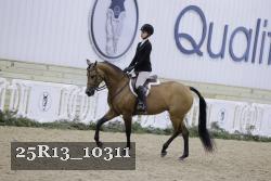 25R13_10311 thumbnail