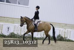 25R13_10312 thumbnail