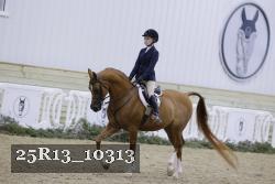 25R13_10313 thumbnail