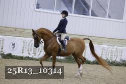 25R13_10314 thumbnail