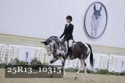 25R13_10315 thumbnail