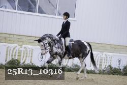 25R13_10316 thumbnail