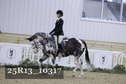 25R13_10317 thumbnail