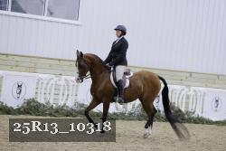 25R13_10318 thumbnail