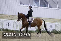 25R13_10319 thumbnail