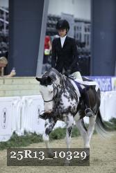 25R13_10329 thumbnail