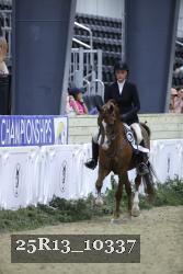 25R13_10337 thumbnail