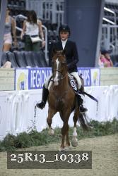 25R13_10338 thumbnail