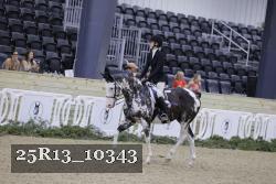25R13_10343 thumbnail