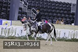 25R13_10344 thumbnail