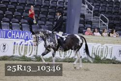 25R13_10346 thumbnail
