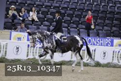 25R13_10347 thumbnail