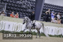 25R13_10349 thumbnail