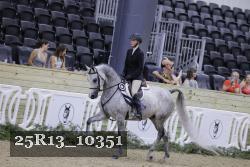 25R13_10351 thumbnail