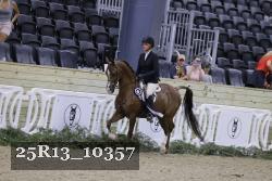25R13_10357 thumbnail