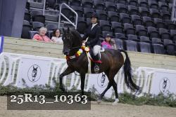 25R13_10363 thumbnail