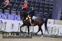 25R13_10364 thumbnail