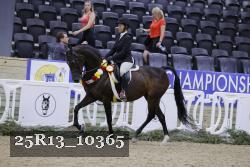 25R13_10365 thumbnail