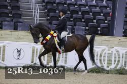 25R13_10367 thumbnail