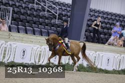 25R13_10368 thumbnail