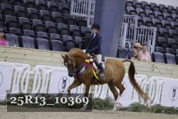 25R13_10369 thumbnail