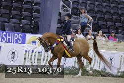 25R13_10370 thumbnail