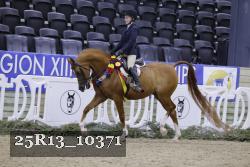 25R13_10371 thumbnail