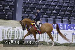25R13_10372 thumbnail