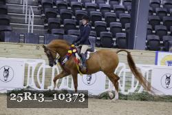 25R13_10373 thumbnail