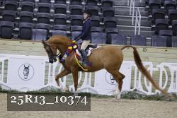 25R13_10374 thumbnail