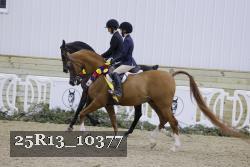 25R13_10377 thumbnail