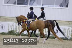 25R13_10379 thumbnail
