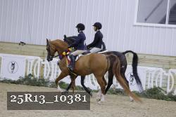25R13_10381 thumbnail