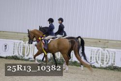 25R13_10382 thumbnail
