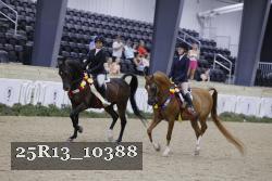 25R13_10388 thumbnail