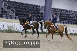 25R13_10390 thumbnail