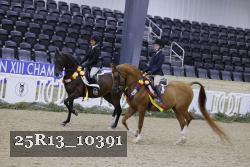25R13_10391 thumbnail