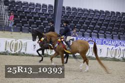 25R13_10393 thumbnail