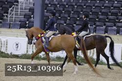 25R13_10396 thumbnail