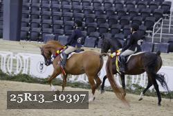 25R13_10397 thumbnail