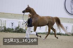 25R13_10398 thumbnail