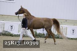 25R13_10399 thumbnail