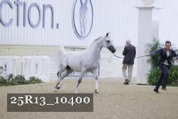 25R13_10400 thumbnail
