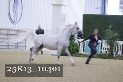 25R13_10401 thumbnail